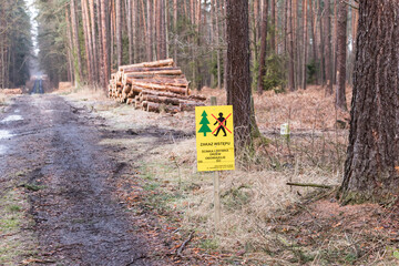 Wycinka leśna wstęp wzbroniony - obrazy, fototapety, plakaty