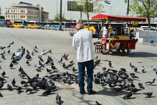 Elderly man feeding pigeons on the street in Istanbul