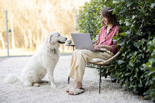 Young woman works on laptop computer while sitting relaxed on chair with her cute adorable dog at backyard. Concept of remote work and friendship with pets