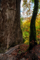 Hiking trail on ladder near rock formation in autumn forest