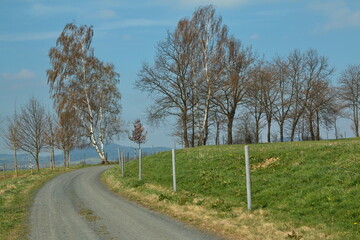 Early spring in Bohemian Forest, Klatovy district, West Bohemia, Czech Republic, Europe, Central Europe
