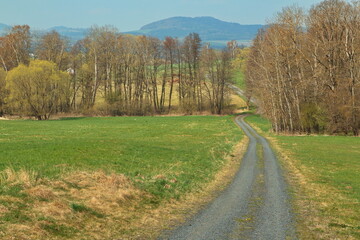 Fototapeta premium Early spring in Bohemian Forest, Klatovy district, West Bohemia, Czech Republic, Europe, Central Europe 