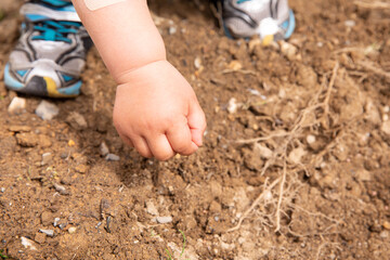 野菜の種を持つ子供の手　