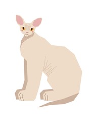 The sphinx cat sits sideways. Cute kitten with big ears and yellow eyes. A disproportionate pet with a larger body and a small head. Vector illustration in a flat style.