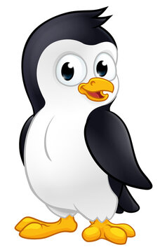 Penguin Bird Cute Cartoon Wildlife Mascot