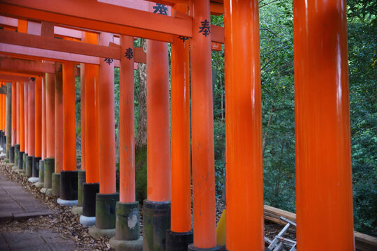 ancient Japanese pillars at a shrine