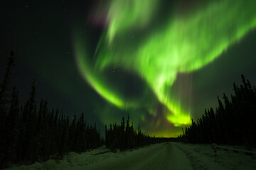 Northern lights silhouette in Alaska.