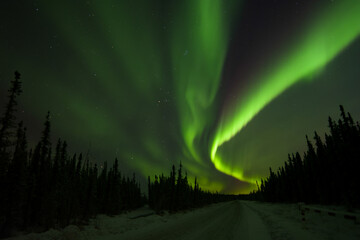 Northern lights silhouette in Alaska.