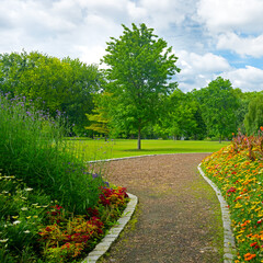 Naklejka premium Beautiful meadow with flowers and path in park.