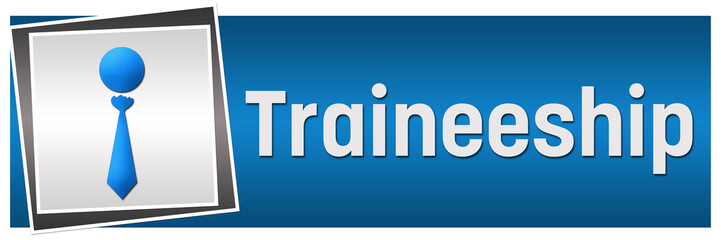Traineeship Blue Grey Horizontal 
