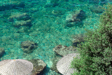 Summer scene with straw beach umbrellas and blurred turquoise sea and green trees. Nature beauty, summer or vacation concept