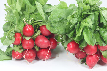 group of red radishes spring harvest-