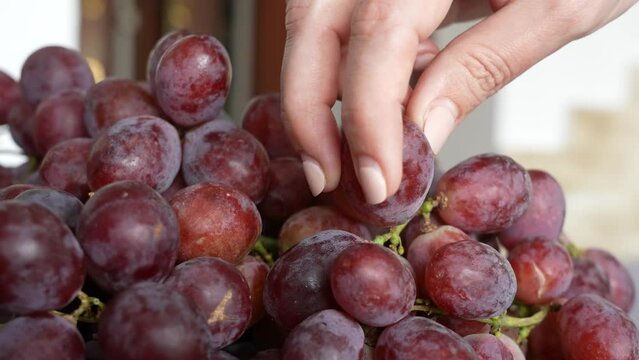 Closeup view 4k slow motion stock video footage of red seeded organic grapes raisins laying on plate on table. Woman takes one juicy berry to eat