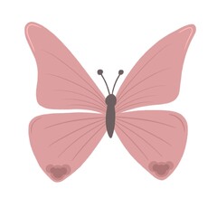 pink butterfly with single lines on the wings and large patterns. simple drawing. color illustration