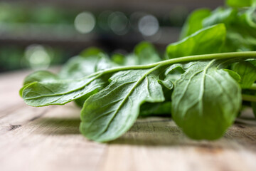 Fresh Arugula leaf on wood background.