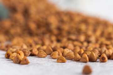 Extreme close-up buckwheat grain isolated on gray background. Selective focus