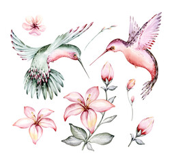 Tropical watercolor set birds hummingbird, monkey and jaguar, exotic jungle plants palm banana leaves flowers, flamingo pastel color seamless fabric background