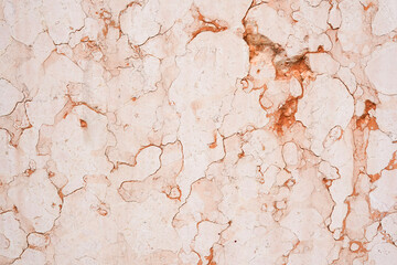 Pink Wall concrete Texture Background. Copy Space For design