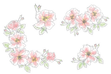 Fototapeta na wymiar loose watercolor doodle line art rose flower bouquet elements collection