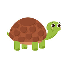 cute turtle icon