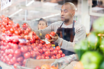 Man in an apron lays out ripe red tomatoes on a supermarket counter