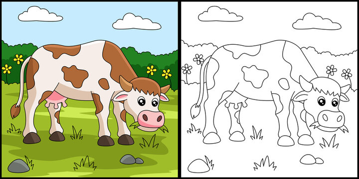 Cow Coloring Page Colored Illustration