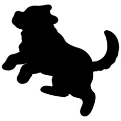 Silhouette of Saint Bernard Dog Jumping