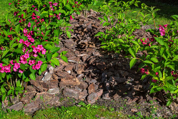 surface covering of the soil with mulch to protect it and improve its properties for caring for plants in a flower bed and growing flowering flowers illuminated by sunlight, gardening close-up.