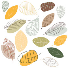 Pattern autumn leaves of different shapes on a white background