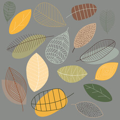 Pattern autumn leaves of different shapes on a dark background