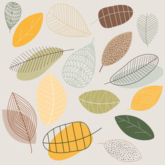 Pattern autumn leaves of different shapes on a grey background