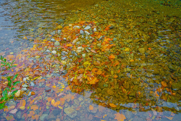 四万の甌穴群と紅葉