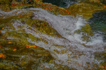 四万の甌穴群と紅葉