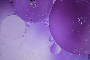 Purple drops of oil in water.