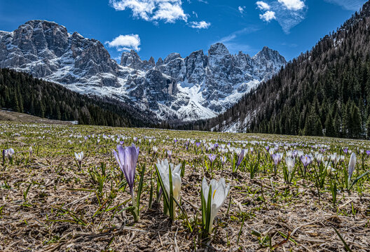 Dolomiti, panorama in val Venegia