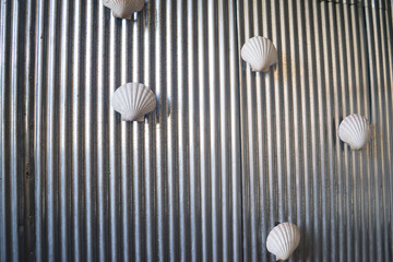 Shells to decorated on Silver modern corrugated roof sheets background .Galvanized sheet is material in the building store. 