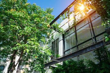 Glass building with tree and ivy that climbs their storied walls cover the glass building with sunlight. Vines not only lend greenery through the summer