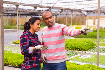 Confident latina woman farm owner giving instructions to man worker at greenhouse