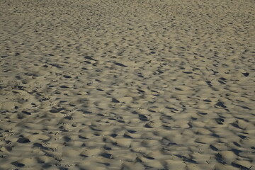 Traces and footsteps in the North Sea beach sand at dusk, use: background, copy space, concept: holiday, relax (horizontal), Zandvoort, North Holland, Netherlands