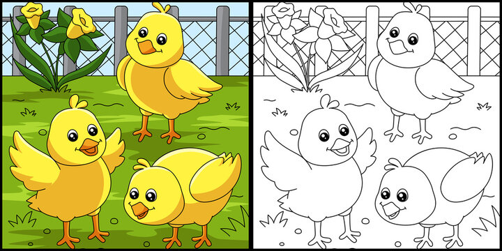 Chicks Coloring Page Colored Illustration