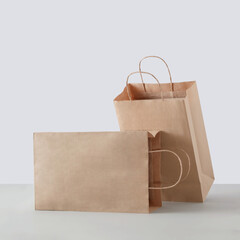 Two paper carton bags for commercial shopping in the store.