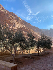 The Monastery of Saint Catherine near the Mount Sinai (Holy Mount Moses), Sinai peninsula, Egypt,...