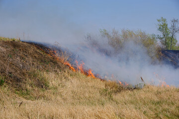 Fototapeta premium Tongues red flame and burning dry yellowed grass in smoke.