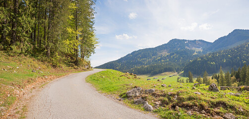 country road Rote Valepp, hiking area Spitzing, upper bavaria