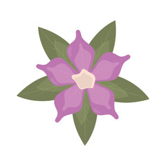 violet flower icon