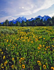 Grand Teton, Wyoming