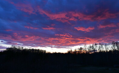 A view of a red and blue sky over a large forest or moor in the evening being a result of a big weather front moving closer seen on a rural countryside in Poland during a hike