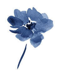 Stylized peony, chamomile, daisy, chrysanthemum, blue brush strokes with hand drawn ink. Abstract Flower dry texture brush. Grunge  illustration