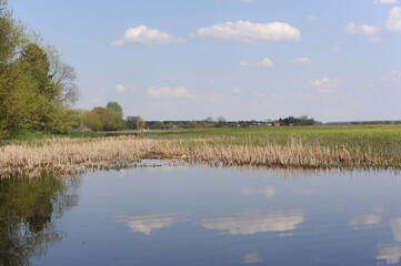 Peaceful river and trees with sky reflecting in spring in Europe