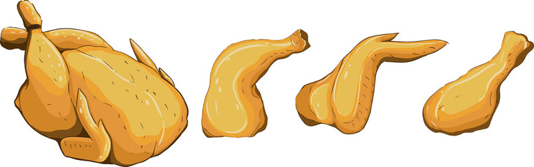 Illustration baked chicken and its parts. Vector illustration